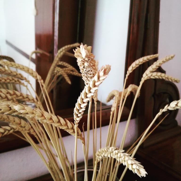 فيلا Casa Do Sr. Alberto Praia da Vitória المظهر الخارجي الصورة